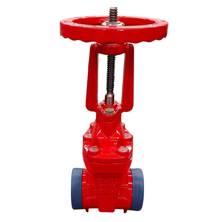 grooved gate valve