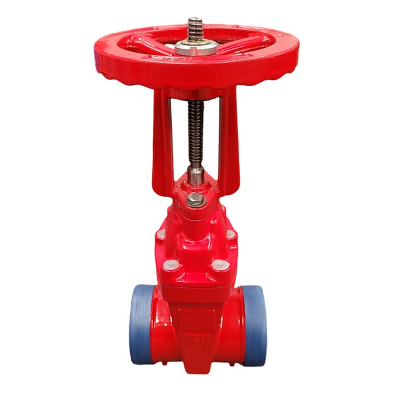 gate valve rising stem